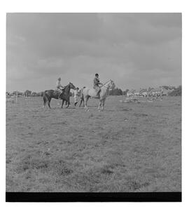 Clarecastle Horse Show