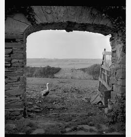 Birchfield House - archway